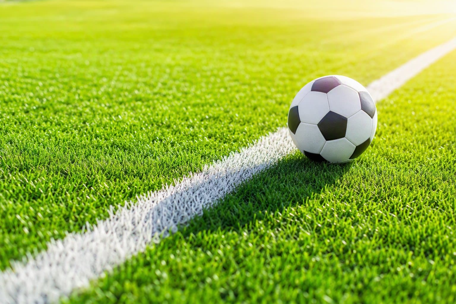 Sunlit Soccer Pitch - illustration, Jake Team LLC